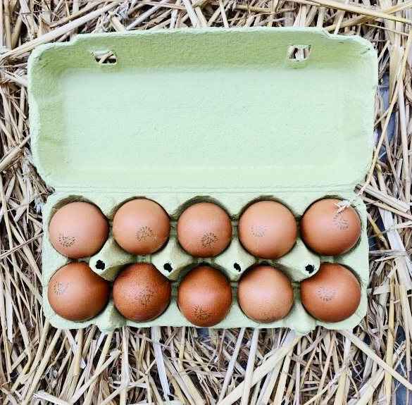 Szabadtartású tojás - 10 db (M méret)