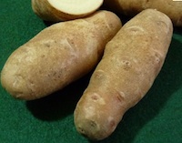 Krumpli - Gülbaba